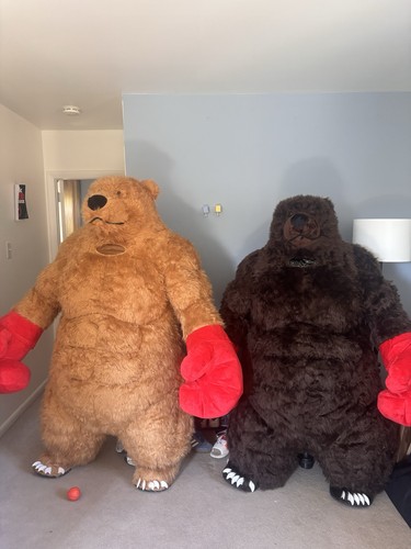 Giant boxing bear inflatable - giant,